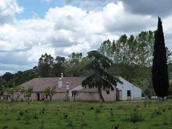 Lagar De Vina Vieja Guest House Cazalla de la Sierra Exterior photo